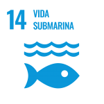 https://www.un.org/sustainabledevelopment/es/wp-content/uploads/sites/3/2019/09/S_SDG_Icons_Inverted_Transparent_WEB-14.png