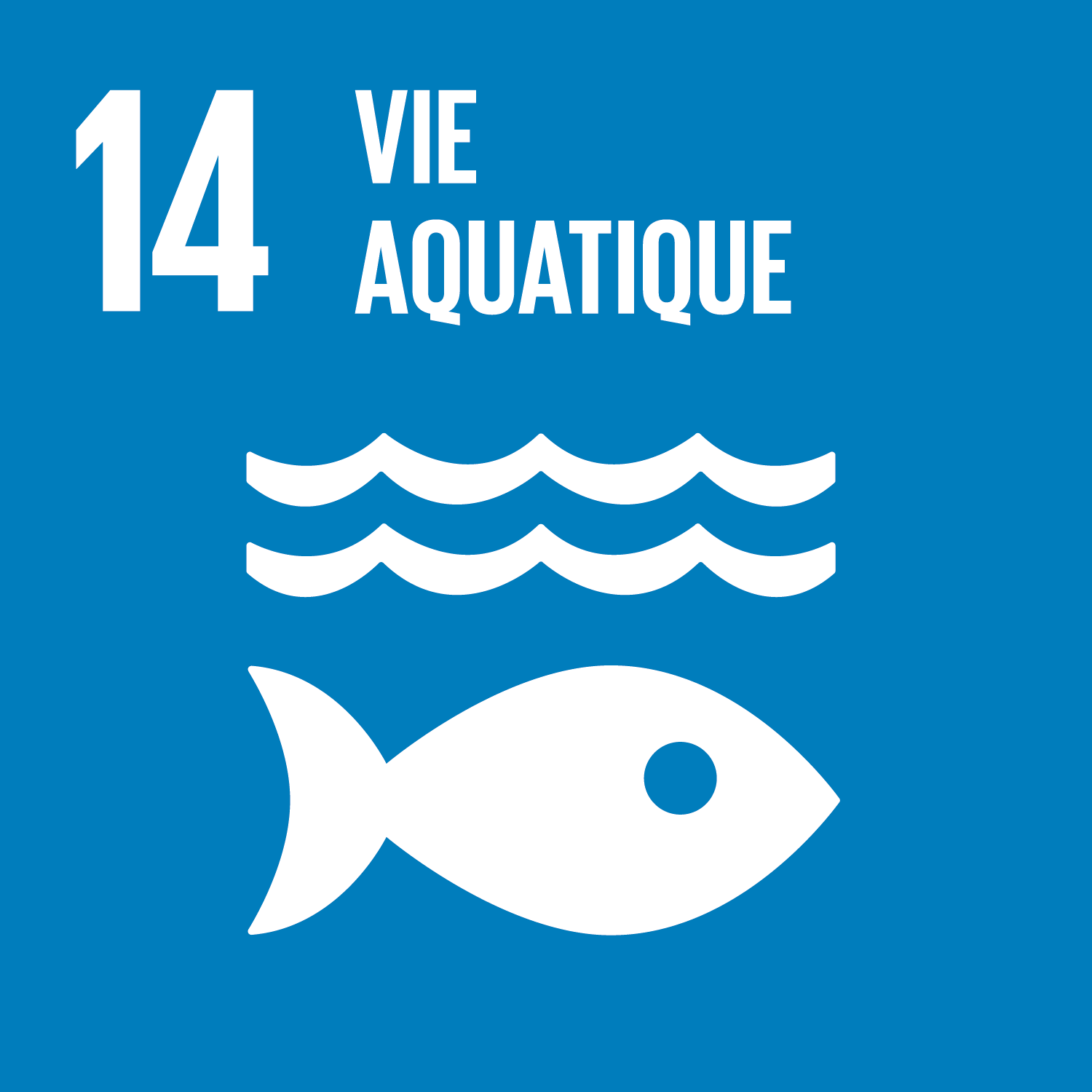 Développement durable