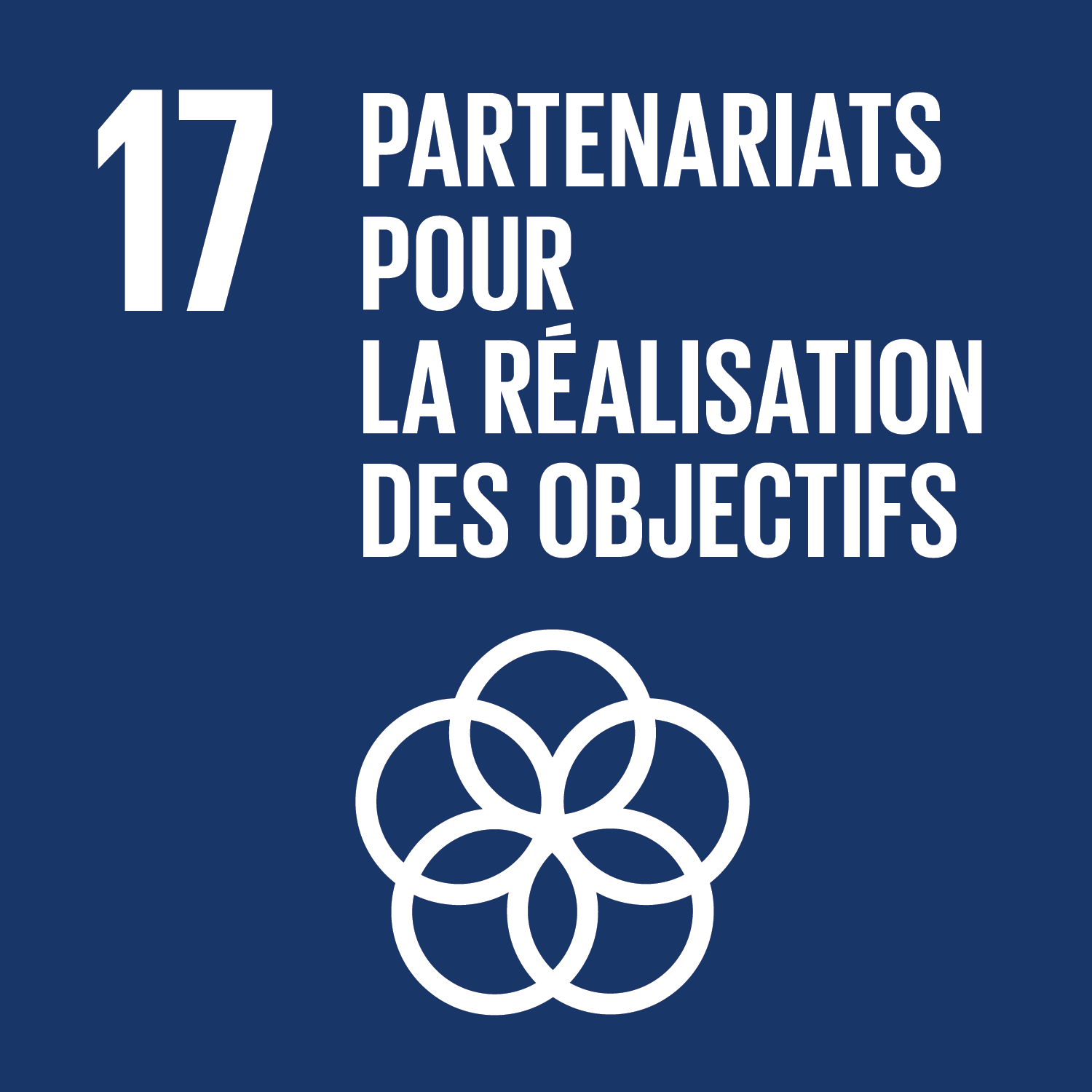 Objectif 17 : Renforcer les moyens de mettre en œuvre le Partenariat mondial pour le développement et le revitaliser. – Développement durable