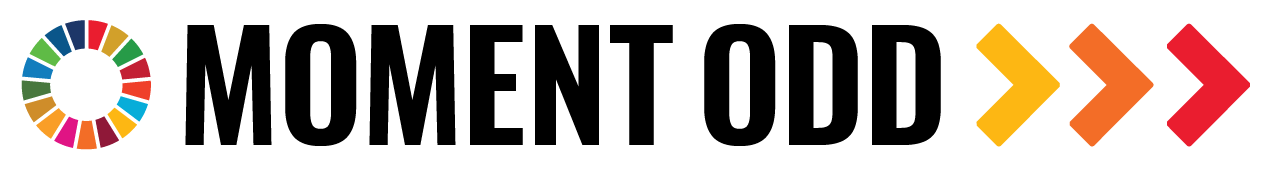 SDG_moment_horizontal_F