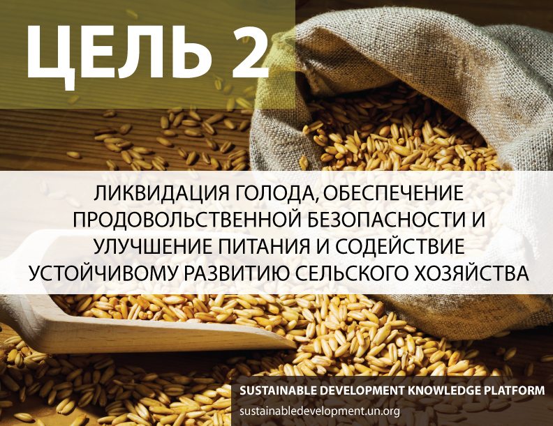 Ликвидация голода презентация