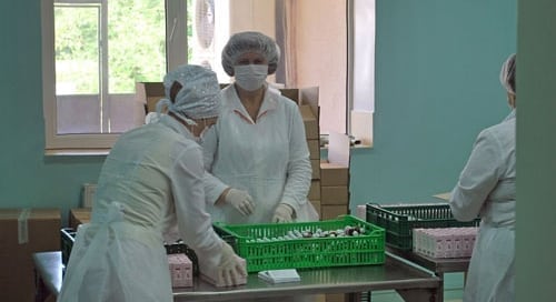 Women employees at a private company pack pharmaceuticals in Moldova.