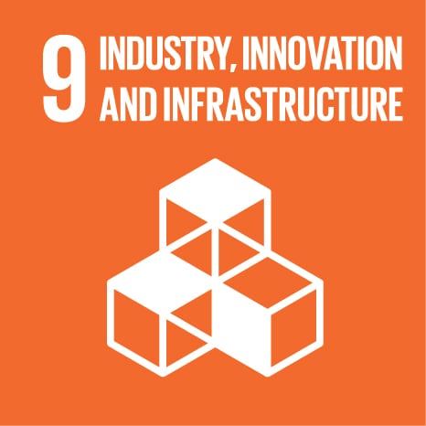 SDG9