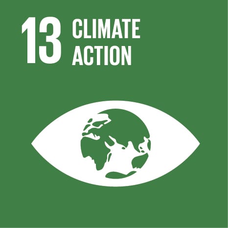 SDG13