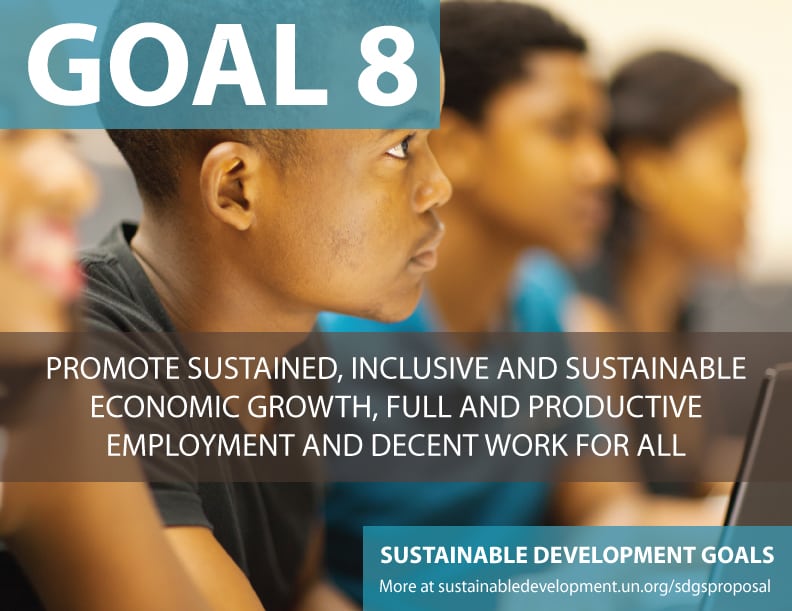 what are sustainable development goals explain class 8