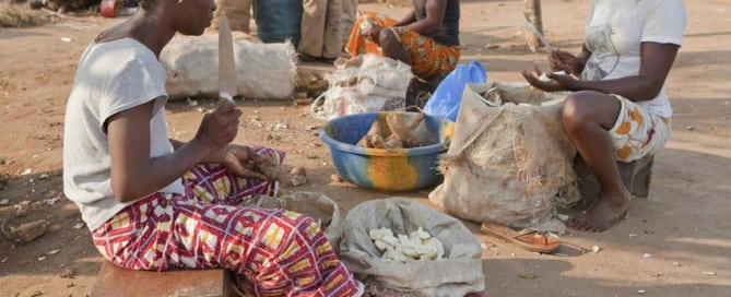Women in Assouba, rural Côte d’Ivoire, preparing igname (yam) to sell.