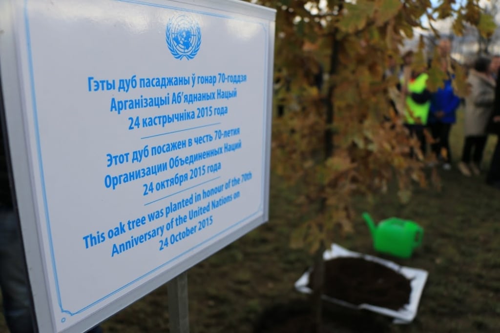 A plaque commemorating the Peace and Security Tree in Minsk.