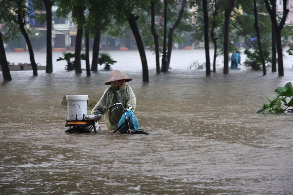 Water and Disasters (Routledge Special Issues on Water Policy and Governance)