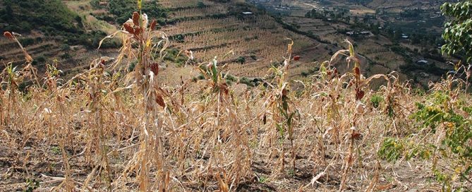 Photo: The West Hararghe region of Ethiopia is seen in December 2015. Some 10.2 million people are food insecure amidst one of the worst droughts to hit Ethiopia in decades.