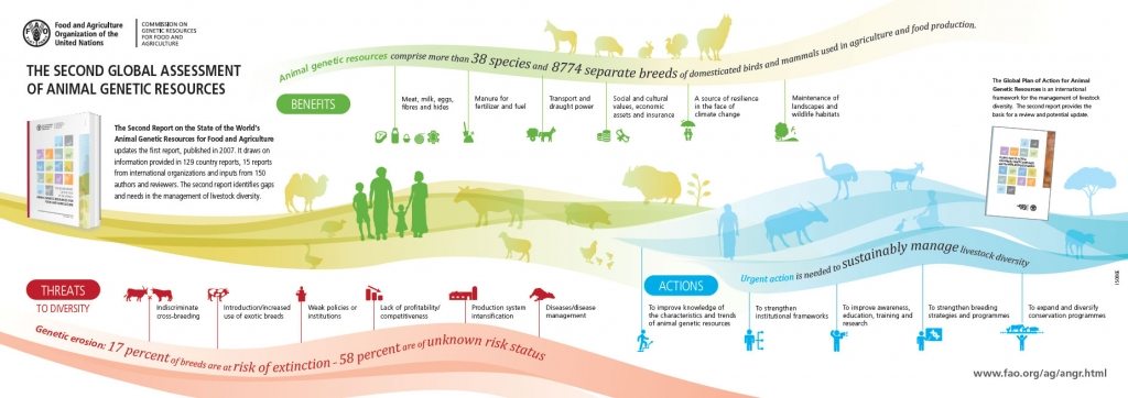 Image source: UN Food and Agriculture Organization (FAO)