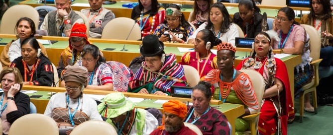 Photo: A view of participants in the General Assembly Hall during the opening ceremony of the Fifteenth Session of the United Nations Permanent Forum on Indigenous Issues.