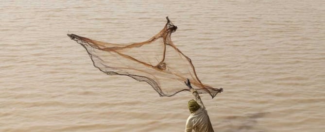 Photo: A fisherman throws his net in Arikouka basin in Tera, Niger. Photo: UNFAO
