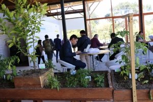 Photo: Habitat 3 participants work in the One UN Pavilion.