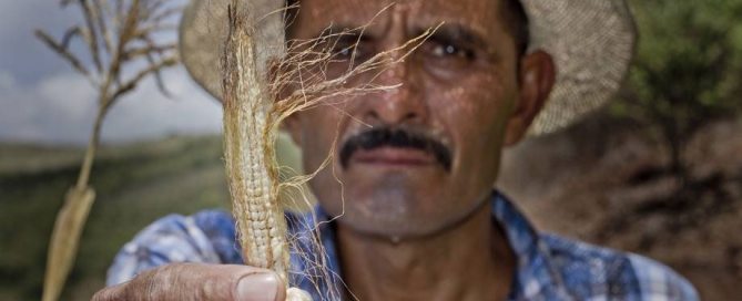 Photo: Small-scale family farmers and rural communities are highly vulnerable to extreme weather events.