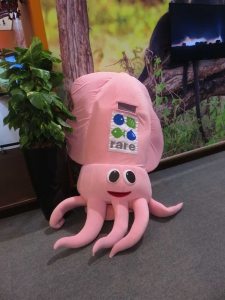 Photo: A plush squid celebrates biodiversity.