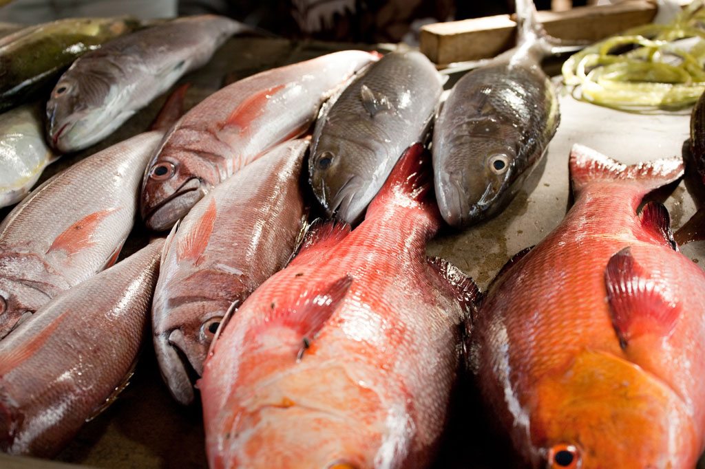 Fish caught in the Seychelles. Photo: UNEP GRID Arendal/Lawrence Hislop
