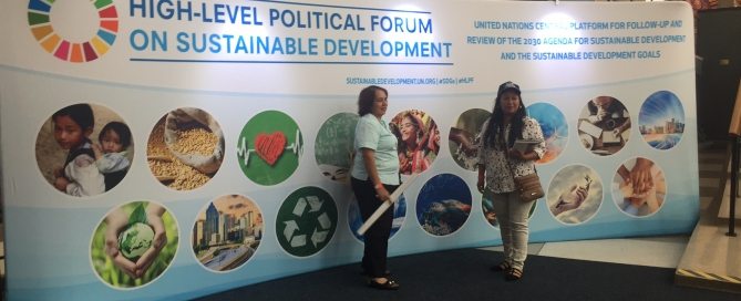 PHOTO: The General Assembly Building lobby during HLPF on 11 July 2017.