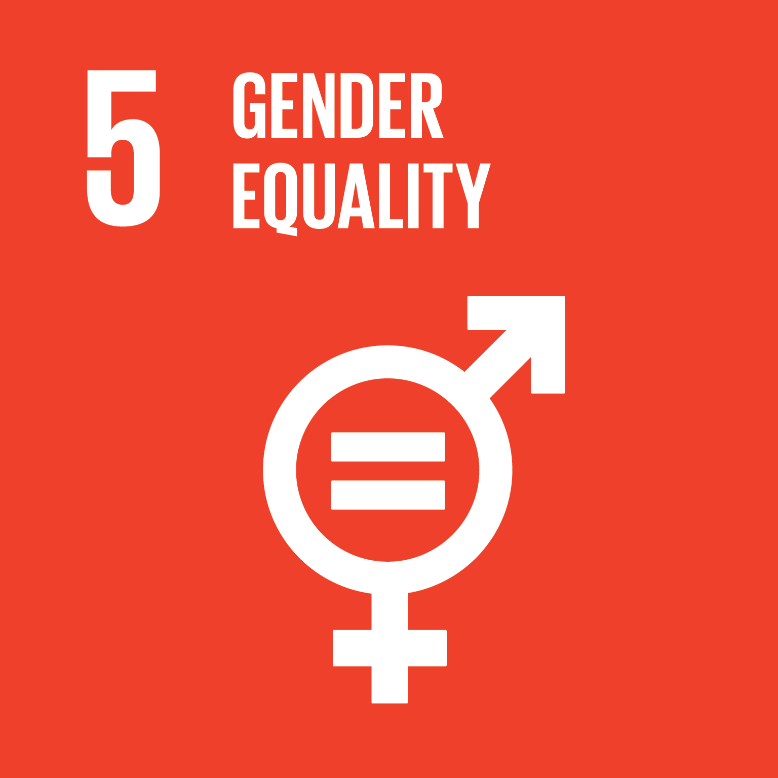 United Nations: Gender equality and women's empowerment