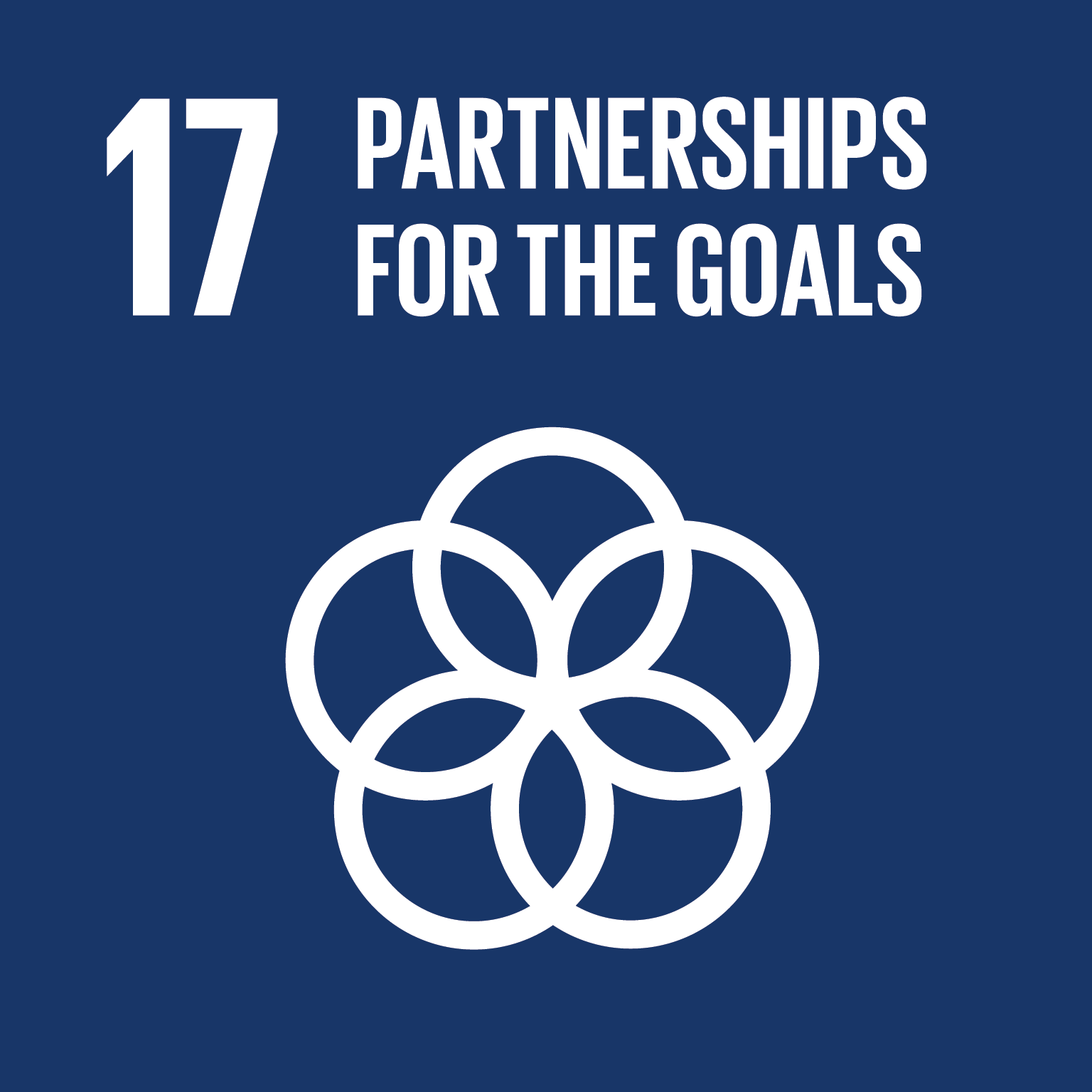 Resultado de imagem para sustainable development goals partnership for the goals