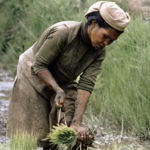 gender inequality essay in odia