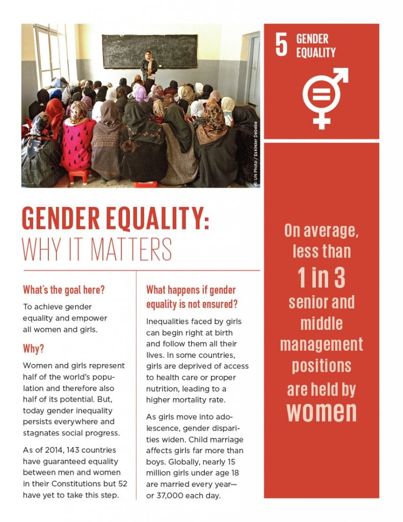 Goal of the Month | March Gender Equality - United Nations Sustainable Development