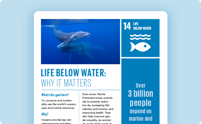 Into the water below. Life below Water. Life below Water SDG. Goal 14: Life below Water. Life below Water presentation.