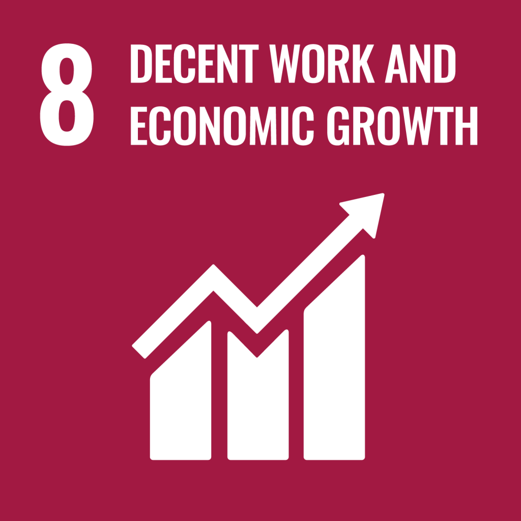 https://www.un.org/sustainabledevelopment/wp-content/uploads/2019/08/E-Goal-08-1024x1024.png