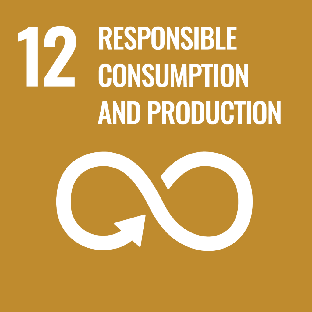 https://www.un.org/sustainabledevelopment/wp-content/uploads/2019/08/E-Goal-12-1024x1024.png