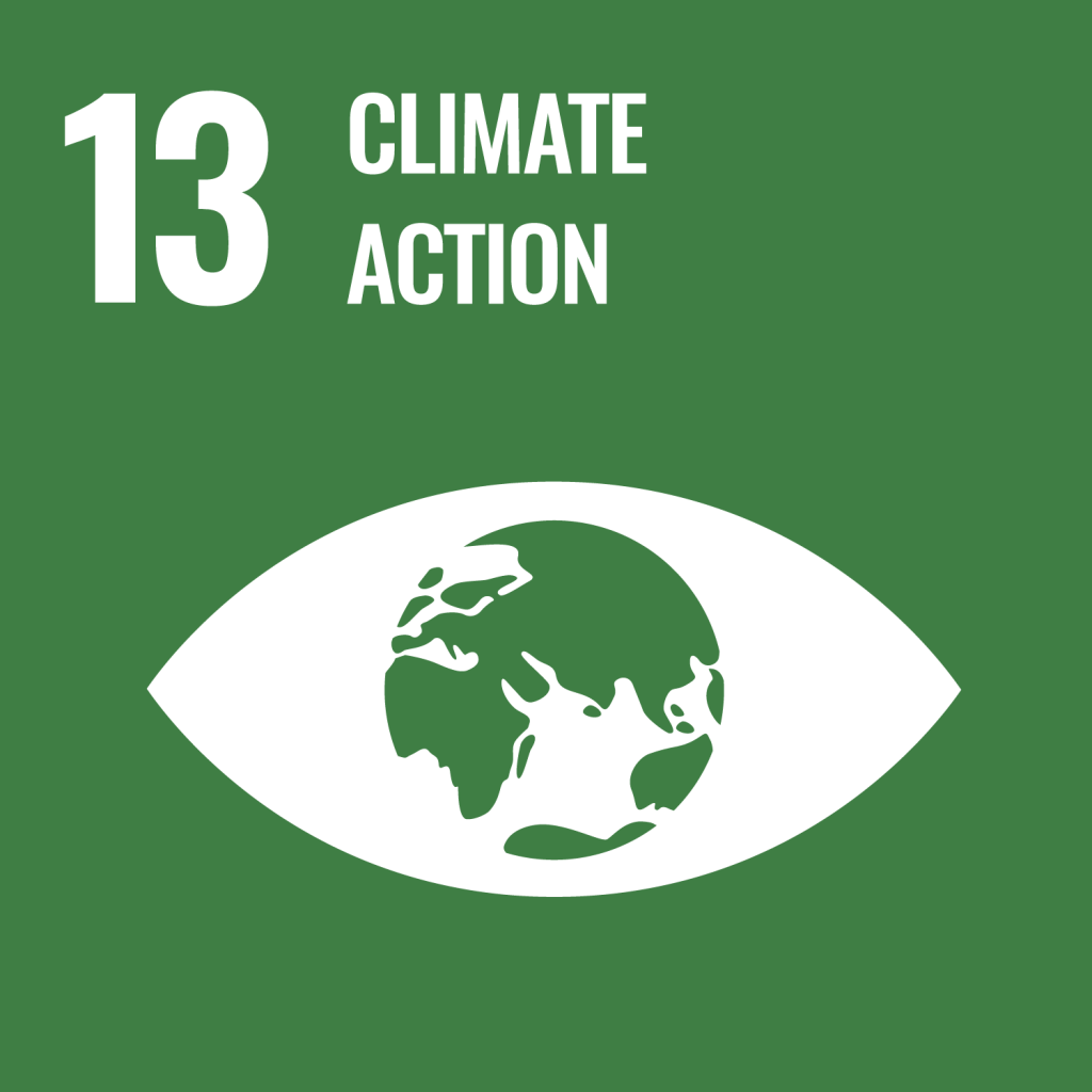 https://www.un.org/sustainabledevelopment/wp-content/uploads/2019/08/E-Goal-13-1024x1024.png