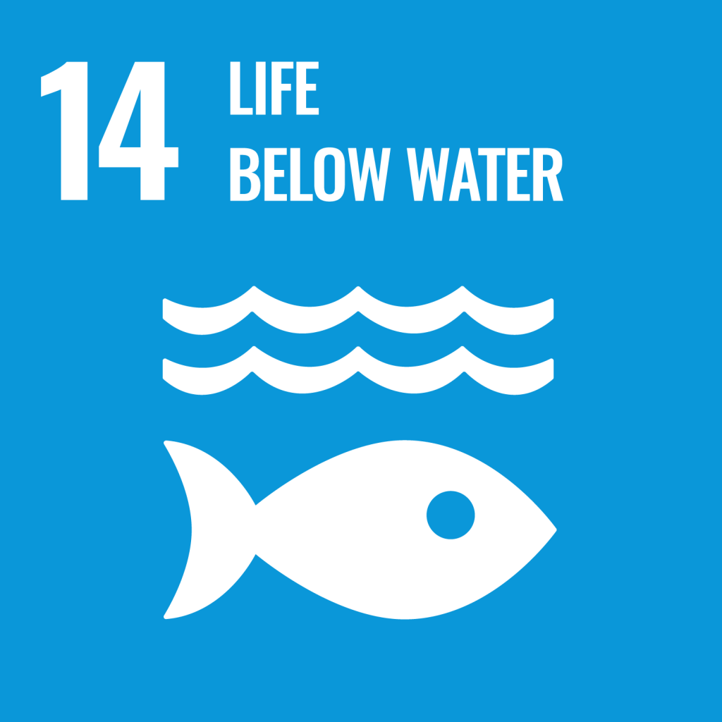 https://www.un.org/sustainabledevelopment/wp-content/uploads/2019/08/E-Goal-14-1024x1024.png