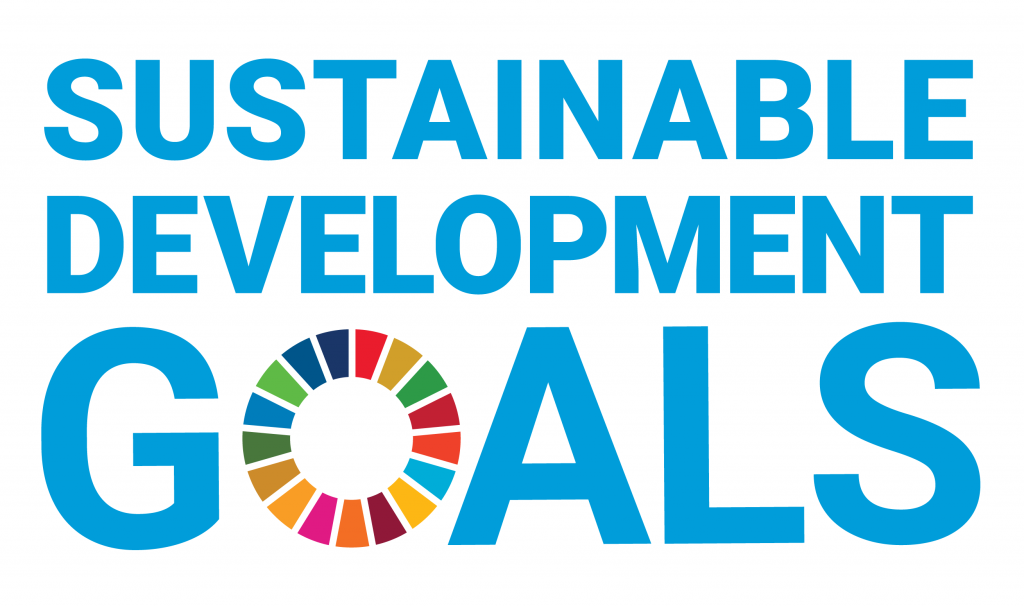 Image result for un sustainability goals