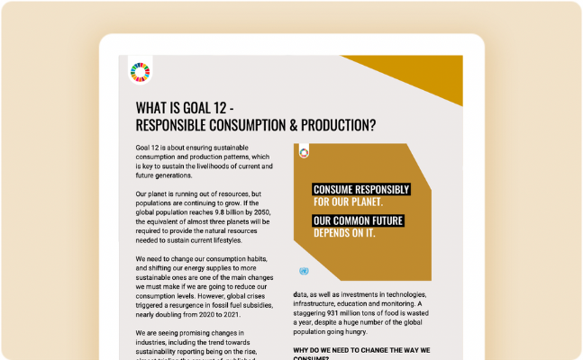 essay on responsible consumption and production