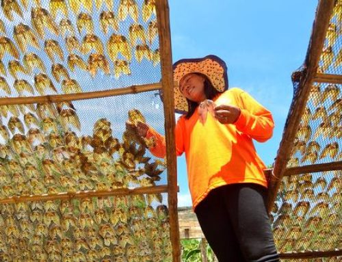 تقرير أممي: عمال العالم يواجهون تفاقم عدم المساواة دون إصلاحات عاجلة