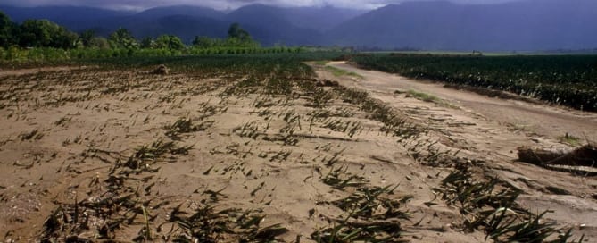 El cambio climático tiene serias repercusiones para la agricultura y la seguridad alimentaria. Foto: FAO/L. Dematteis