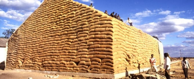 Trabajadores apilan sacos de maíz en Zambia. Niveles robustos de inventarios mantienen estables los precios de las materias primas agrícolas. Foto: FAO/Alberto Conti