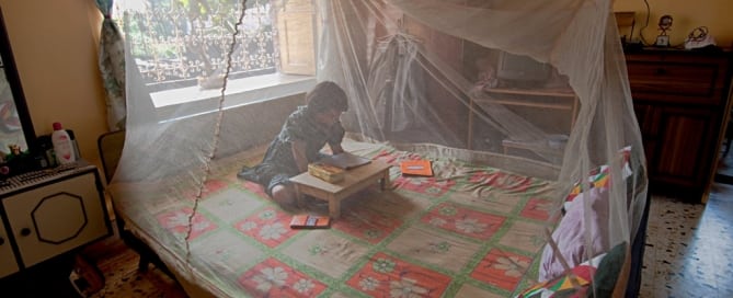 Una niña lee protegida por una red tratada con insectiicida. Foto: Joydeep Mukherjee