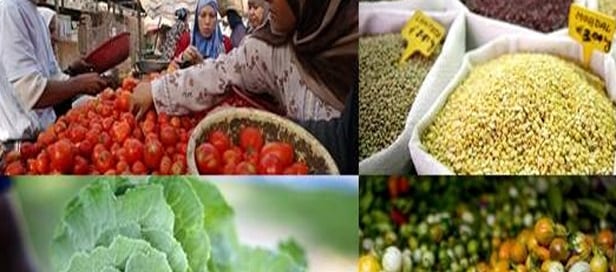 Los precios de los alimentos se redujeron en abril. Foto: FAO