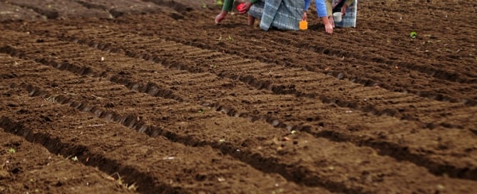 Tres mujeres plantan semillas en una granja en Chimaltenango, en Guatemala. Foto: Banco Mundial/Maria Fleischmann