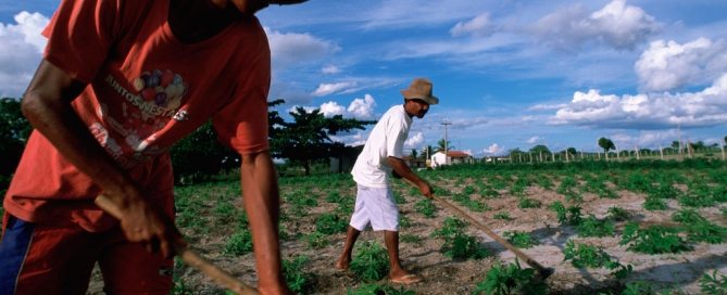 Trabajadores agrícolas en el noreste de Brasil. Foto de archivo: Banco Mundial/Scott Wallace