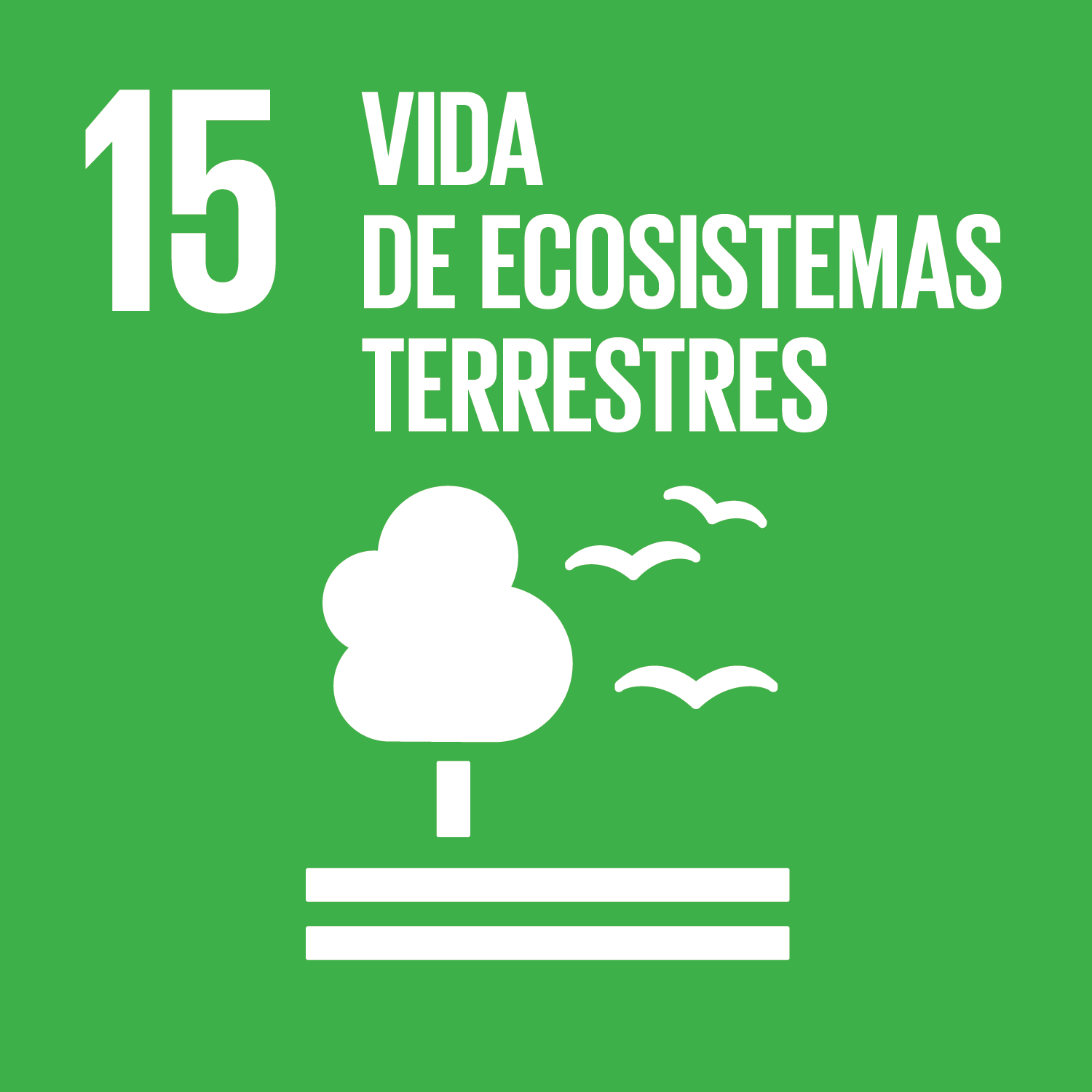 Icono del objetivo 15: Vida de ecosistemas terrestres