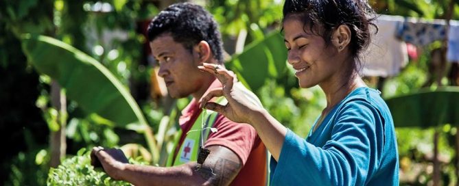 Des agriculteurs dans un jardin potager à Samoa. Photo: IFRC/Benoit Matsha-Carpentier