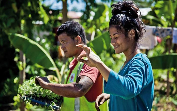 Des agriculteurs dans un jardin potager à Samoa. Photo: IFRC/Benoit Matsha-Carpentier