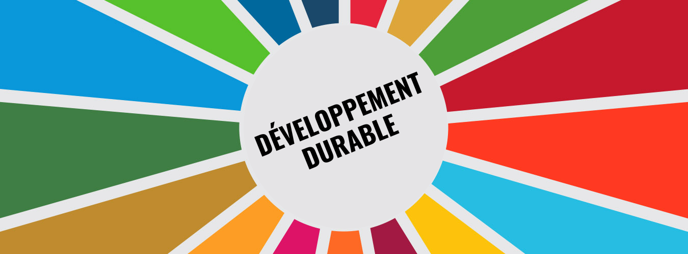 En quoi consiste le développement durable ? - Développement durable