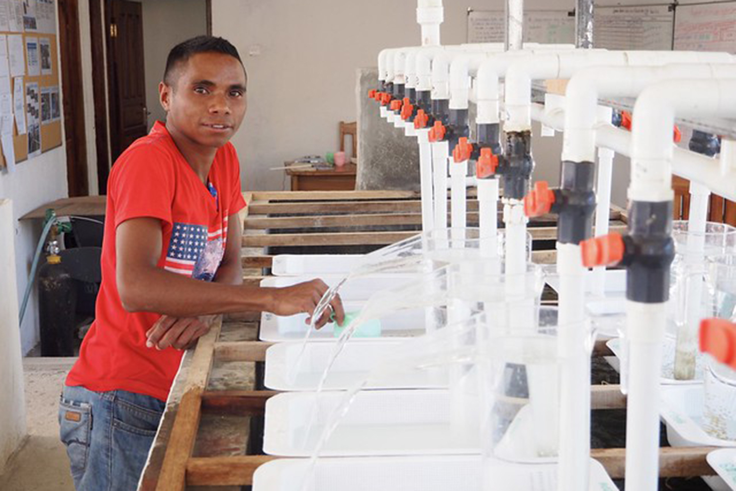 Una persona trabajando en el criadero de Gleno, Timor-Leste. Foto Kate Witness