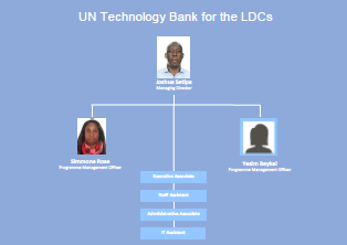 Un Org Chart