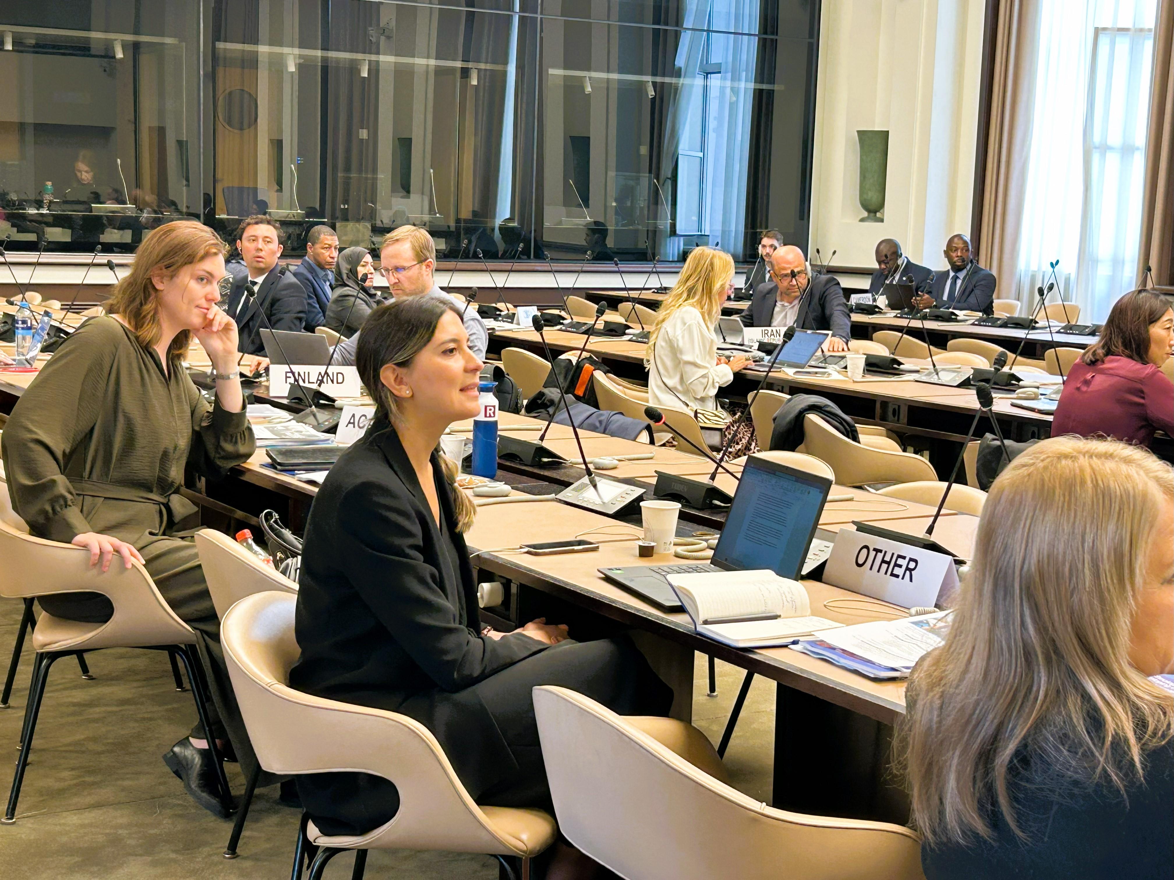United Nations Commission on Science and Technology for Development in Geneva