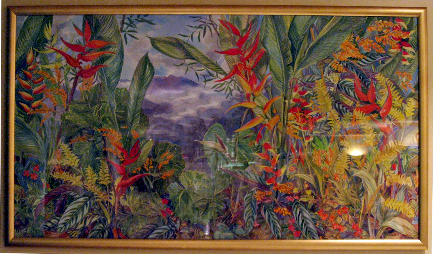 Window to the Dormant Jungle (Ventana a la Jungla), UNNY202G, 1995, Costa Rica