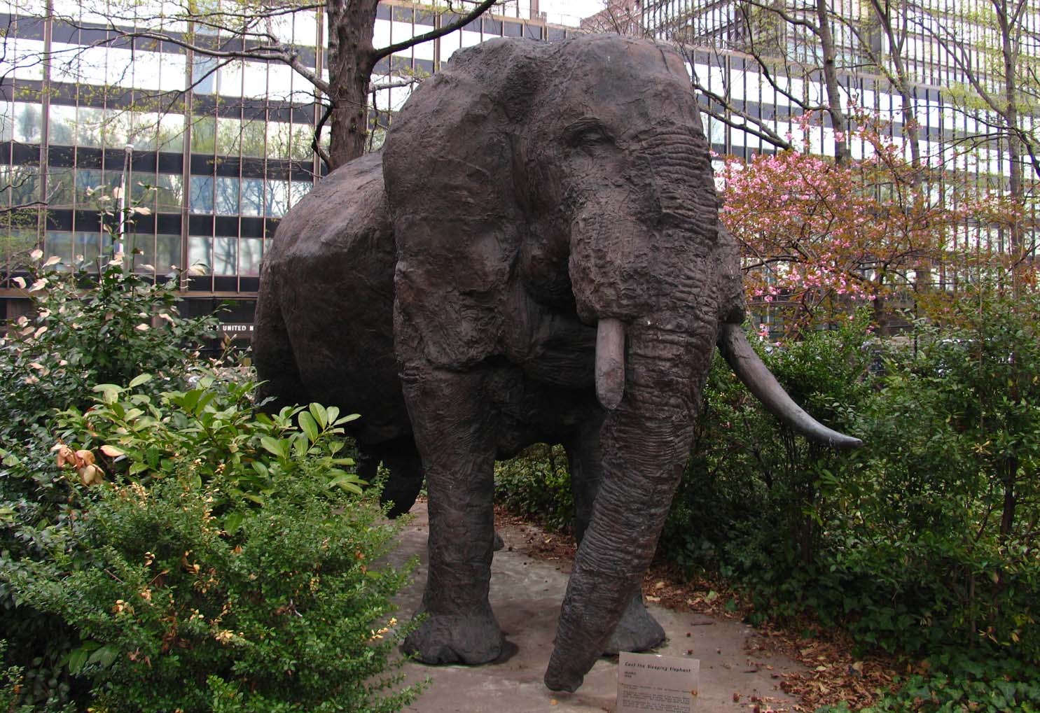 L’éléphant endormi , UNNY230G, 1998, Kenya, Namibie et Népal