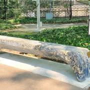 《Malecón Seaside Bench》, UNNY335G, 2021, 多米尼加共和国