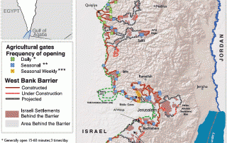 Olive harvest Fast facts - OCHA factsheet
